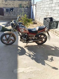 جونده • اسود • شغالة سلف