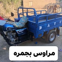 دايون • اوراق • مراوس