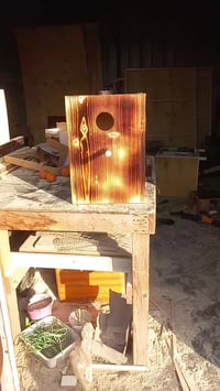 بيت ببغاء حسب الطلب سعرة ٣٥  الف 07705140130