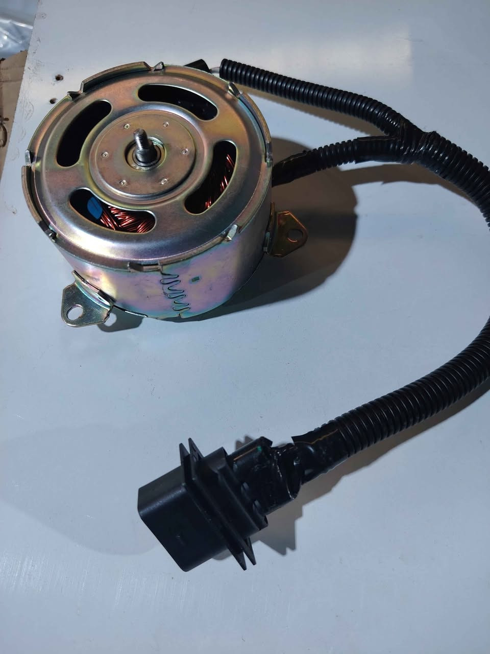 أدوات احتياطية للسيارات الكوري والصيني لل كيا /فوتون /بريجو /H1 /H2/فونتيرا/ بنكو 3 / دير بيكم/ كنو / هايسة / نيسان عالية وناصية بأسعار تنافسية بغداد, العراق


**إذا كنت صاحب هذا الإعلان وتريد حذفه لأي سبب، رجاءا أرسل رسالة إلى الدعم الفني**