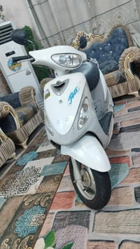 ماكس منغولي • سلف هندر • ابيض