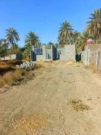 ٥٠٠م • طابو زراعي • بغداد كربلاء عمود ٢٦٢