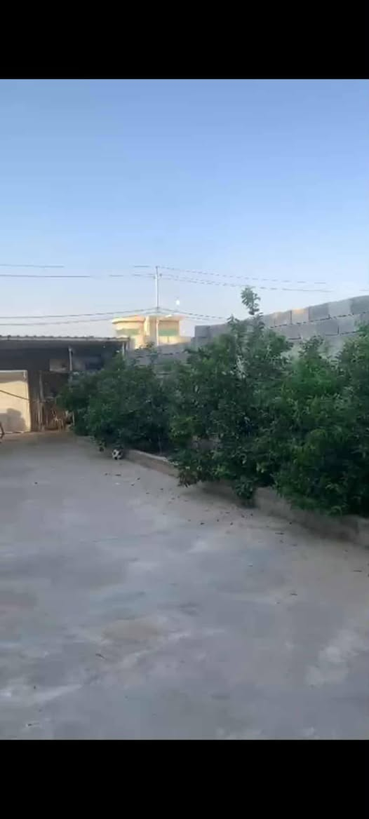 أرض للبيع في التعليم الثانيه  على شارع عشرين قريبه جدآ على جمعه النور ملك صرف طابو الزهور المكاتبه مع الشرعي بداية شارع عشرين مساحة الأرض 125واجهه 5وعمق 25 الاتصال مع صاحب الأرض رقم صاحب الأرض‏‪
‏‪0771 710 1099‬‏
