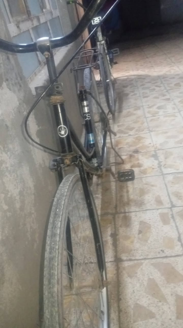 سلام عليكم باسكل للبيع مديل 2020ما مصبوغ شركه سعره 40عوزه بس سرج


**إذا كنت صاحب هذا الإعلان وتريد حذفه لأي سبب، رجاءا أرسل رسالة إلى الدعم الفني**