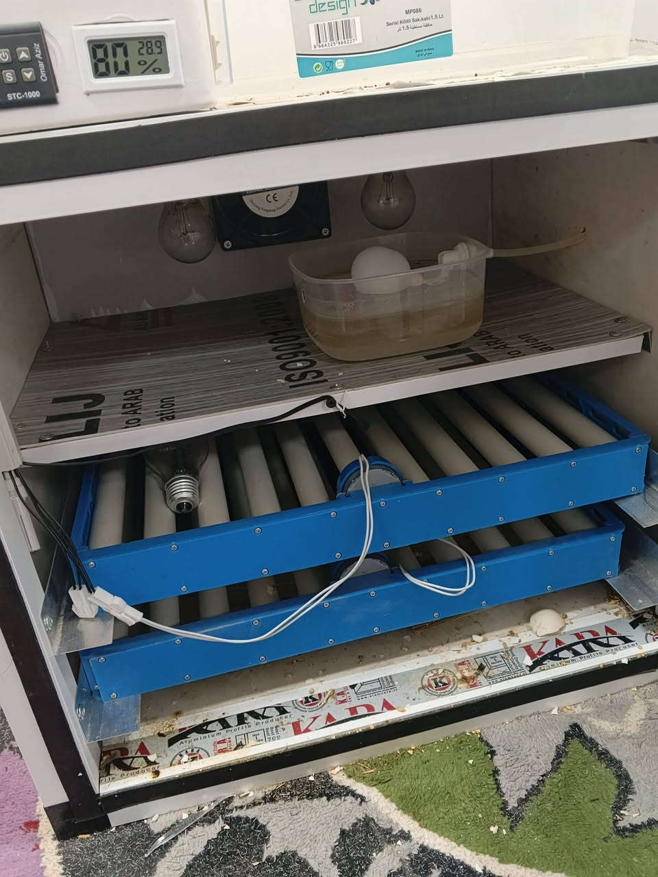 فقاسه للبيع
تاخذ من140الى 150 بيضه تقليب اتماتيك حساس حراره اتماتيك مقياس رطوبه بيها ضمان سنه تشغيل ما مفقس بيها بس مره وحده يعني مشتغله 21فقط 
السعر 250وبيها مجال بسيط كلش


**إذا كنت صاحب هذا الإعلان وتريد حذفه لأي سبب، رجاءا أرسل رسالة إلى الدعم الفني**
