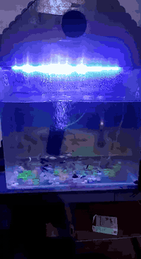 الاسعار الاتصال ع الرقم يوجد توصيل ***********
