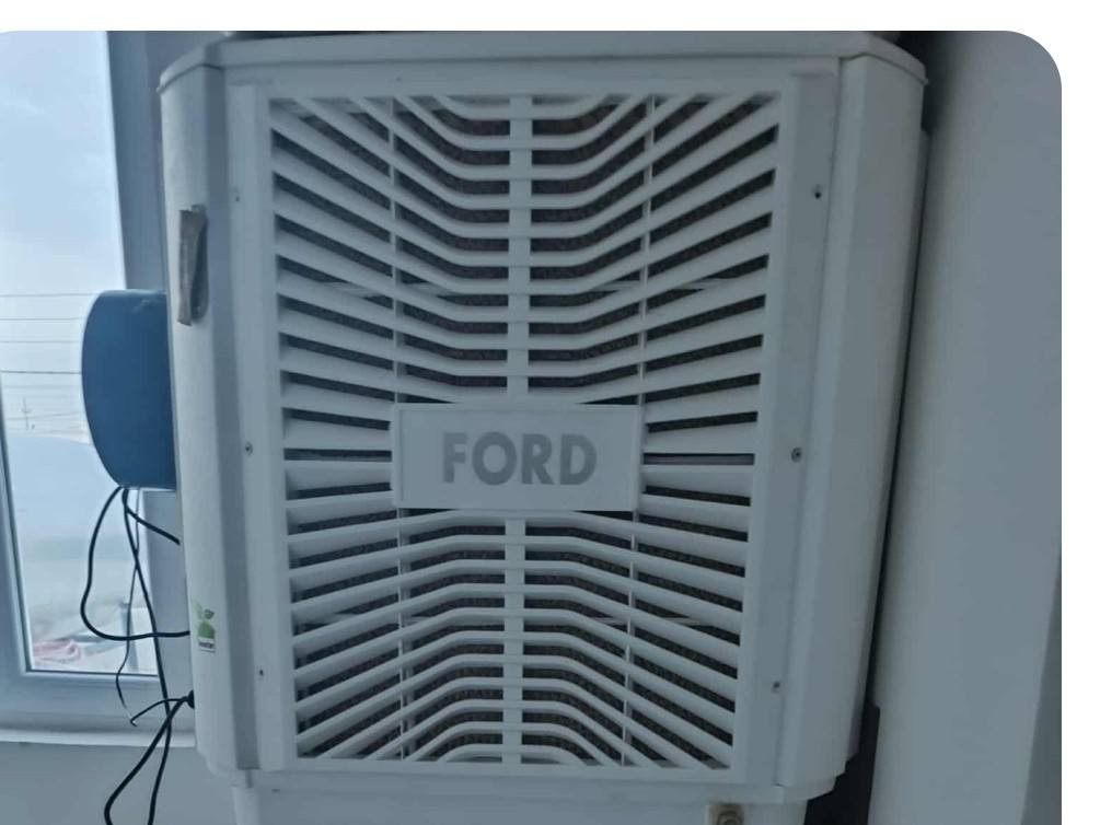 موبریدەی  فورد  پلاستیک 3  مانگ ئیشی کەردوە   بیی عەیب
260 مەعمله 
 شوین کلار 
کیی ویستی  مەسج بکات


**إذا كنت صاحب هذا الإعلان وتريد حذفه لأي سبب، رجاءا أرسل رسالة إلى الدعم الفني**