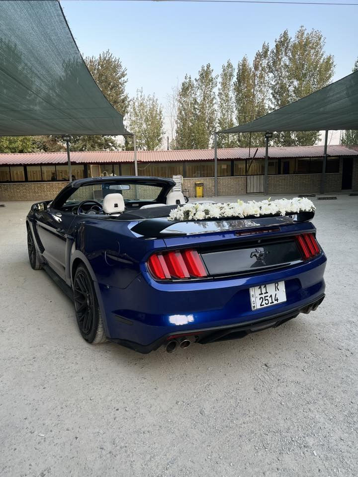 Mustang 2016 v6 
سعر بلاش 130$ مجال بسيط 
گير محرك اكسل مكفولات

صدر امامي خلفي جديد مبدلات
كهربائيات شرط
الاضافات
بجم محدث كامل شيلبي
لحيه شيلبي 
جنح شيلبي
دوسات شيلبي 
داخل ابيض جلد
ادامه كامله للمحرك
بلاكات جديد 
فيتبمب جديد 
ماكو ولا كلوب بالدشبول
رقم سنويه جديد 
سيارة بيها صبغات ابيع عام وهيه مو عام
حادث فقط جاملغ 
.
مكان سياره بابل
0783 552 5588‬ //*********** 
سياره بدون اي نقص
