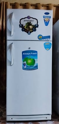 كونكورد • 22 قدم • بصرة حيانية