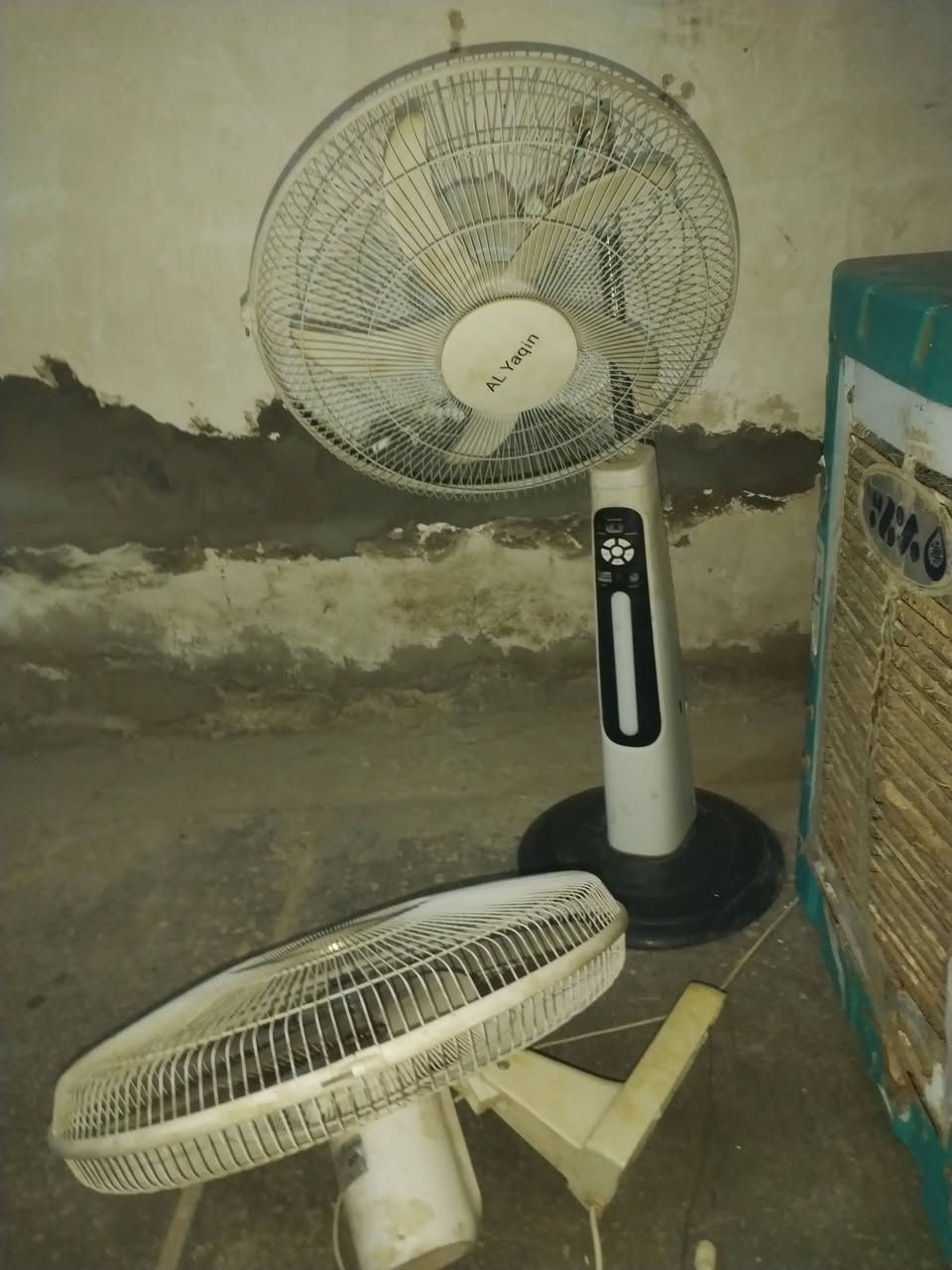 كلهن شلع  ٥٠  هاذا موجود،،. ***********
