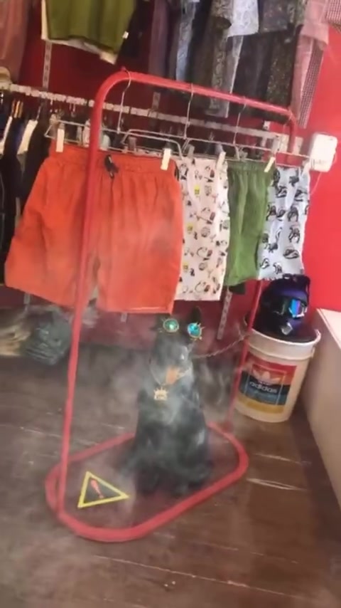 


**إذا كنت صاحب هذا الإعلان وتريد حذفه لأي سبب، رجاءا أرسل رسالة إلى الدعم الفني**