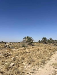 أرض زراعية • الهاشميات • ٢٥دونم