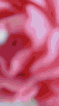 يتوفر خدمت توصيل ***********
