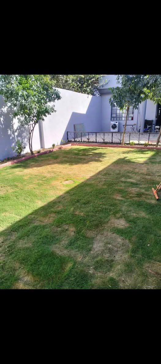 السلامه عليكم يوجد كادر عمل  ديكورات حدايق وزراعه وفرش زميج  كادر جاهز ومتفظي الرقم ***********
