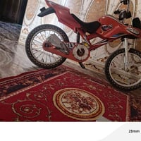 دراجة • حيانيه