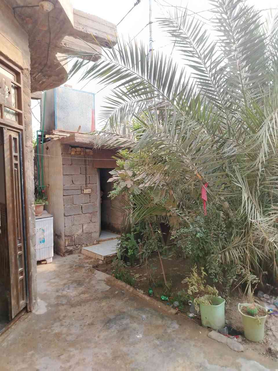 السلام عليكم بيت للبيع زراعي بالكاطون قرب مكتب بيروت المساحه 200 متر غرف عدد 2 وصاله ومطبخ وستقبال وصحيات داخل وخارج
وقاط ثاني هيكل غرف عدد 2 وصحيات نقصه سيراميك ارضيه ولبخ الواجهيه فقط الاتصال ع رقم او واتساب 
***********
