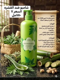 شامبو كوري • شامبو صيني • توصيل محافظات