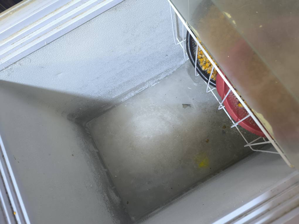 مكلفه بلنشر 💥 كنتور 200.مجمده ب200.ثلاجه 22قدم 200.اي ستفسار اتصلو *********** حلة, بابل
