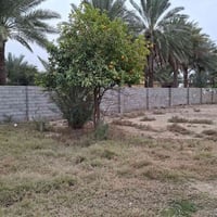 يوجد أرض زراعيه عقد المساحه دونم ونص متوفره كافه الخدمات معه بيت بناء ...