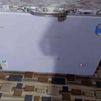 رويل مصرية • حجم وسط • ضمان أسبوع