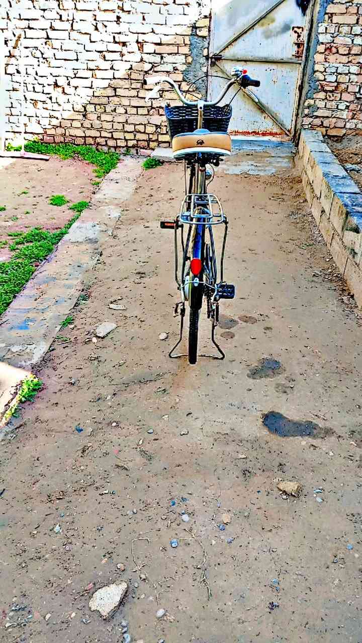 السلام عليكم 
بايسكل نضيف الحجم 26 اللون اسود بلاد 
تايرات وجوابه جدد وياله لشه عدلات مطابقات مختمات
بداله وحساس شغالات 
السعر خاص 
العنوان بعقوبة التحرير 
الشراي يجي خاص ودلل 
***********
