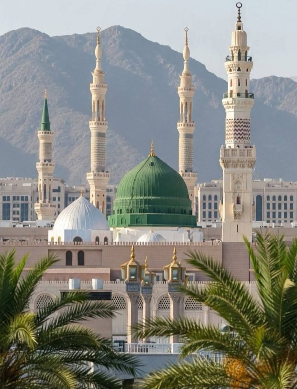 بسم الله نبدا 
تعلن شركة روضة الاسلام للحج و العمره عن انطلاق برامج العمرة المنوعة برا و جوا 

البرنامج الاول برا 
مدة الرحلة 20 ليلة 
10 ليالي في المدينة المنورة السكن في المنطقة المركزية 
10 ليالي مكة المكرمة السكن محبس الجن جهة الباصات 
تشمل الرحلة 
باصات حديثه 
هديا حقائب و احرام رجالي 
الاستراحة في مزرعة حائل 
دخول الروضة 
مرشد ديني يرافق الحملة 
كل هذا بسعر 570 دولار 
العنوان سامراء حي المعلمين قرب مدرسة الترمذي 
المتعهد علي خلف و الاخ مروان 
*********** علي خلف
*********** ملا مروان
