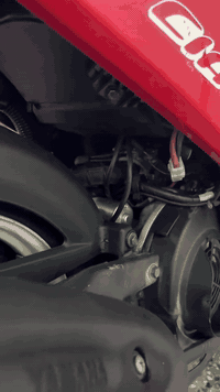 دراجه فله مال وجبه الدراجه بل كارتون كفاله عامه جيب وياك فيتر وتعال افحص مكينه بجيس الدراجه برغي ماناقصه تجي تاخذه من باب البيت ::::::للاستفسار ***********.  ما متواجد ماسنجر واتساب واتصال فقط.بغداد الأمين الثانية
