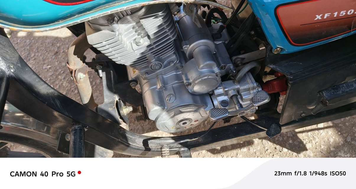 سلام عليكم ستوته الييع مديل تلاثه وعشرين ستوته سنويه مكاني كربلاء حي العامل ***********
