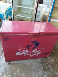 المشتل حي فدك قرب حسينه علي الشوكي 07732875622 بغداد