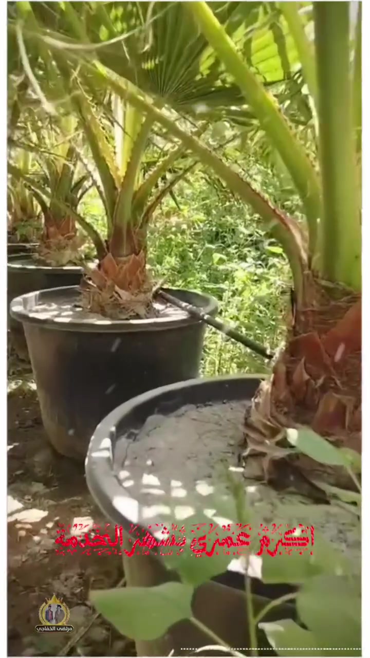 كل نبتة تزرع 🌱 هي حياة افضل


**إذا كنت صاحب هذا الإعلان وتريد حذفه لأي سبب، رجاءا أرسل رسالة إلى الدعم الفني**