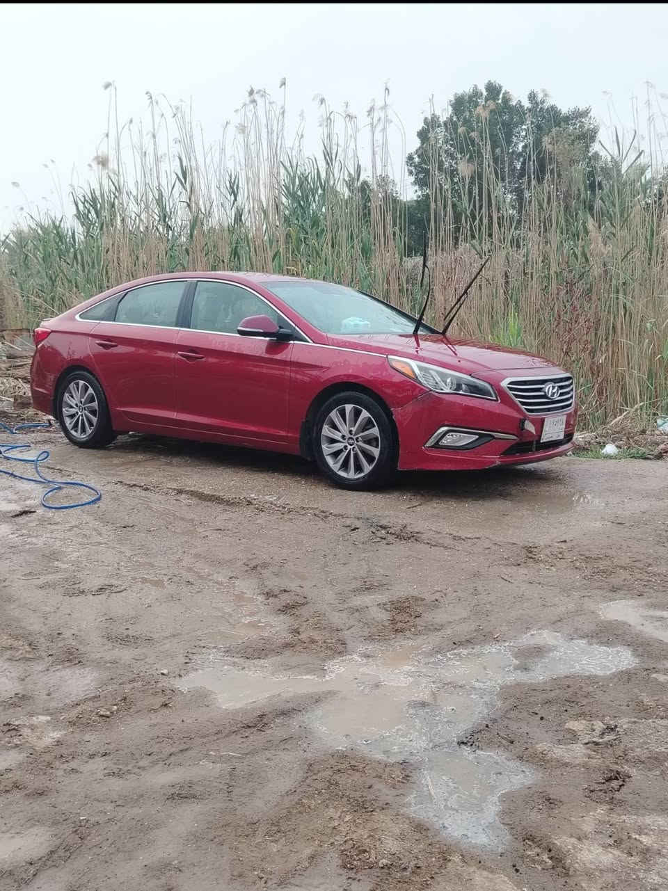 سوناتا ٢٠١٥ ورد امريكي  ماشيه ١١٦
محرك ٢٤٠٠
الرقم بابل
الضرر دعاميه
السعر ١١٨
للاستفسار ***********
***********
