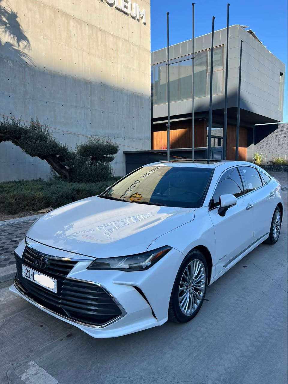 Avalon Limited 2019/6 
‎تــۆیــۆتا ئەڤەلۆن 
‎فول مواصفات خلیجی لمتدد
‎٨٨.٠٠٠ هەزار کم ڕۆشتووە
‎دەعامی بۆ دەعامی هیچی پێوە نیە 
‎بەصمە و سڵایت کوشن سارد و گەرم
‎ڕاداری پێش و دوا ڕاداری خەتی جادە
‎داتاشۆ کوشن خەزن و کارەبایی
‎لایت لید و زینۆن تەبرید مەرکەزی
‎شاشە و کامێرا و تەحدید سرعە...زۆر مواصفاتی تر
‎نمونەیە لە جوانی و پاکی 
‎٤ تایە و ویلی لۆکی لەژێرە سەنەوی و رەقم تازەیە
‎گێڕ و مەکینە و هەموو گیانی بەشەرت برغوی نەکراوەتەوە تەحویل و غرامە بەشەرت
***********
‎سعر ٣٣٤$ کەمێک مەجالی تیایە السليمانية, العراق
