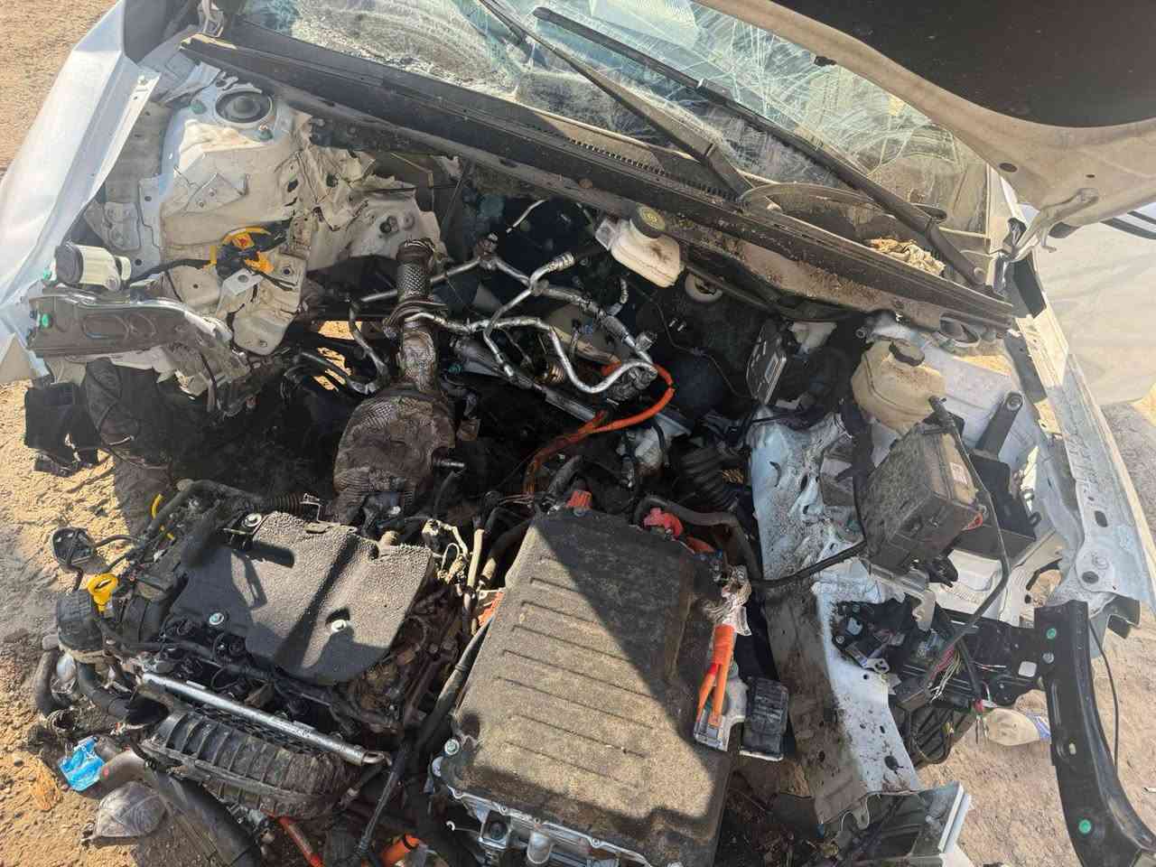 سلام عليكم بي وايدي 2025ماشيه 4تالاف كن بلاص ابيع ع هاي الوضعيه مكاني بغداد دوره رقمي ***********
