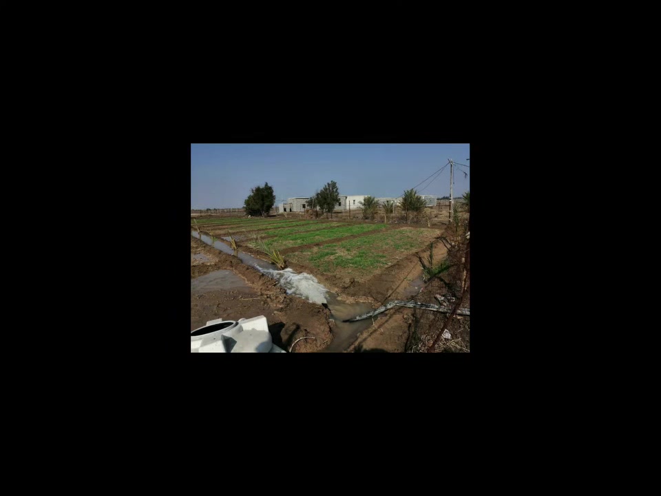 سلام عليكم اليوم عرض عدنا يختلف مزرعه للبيع زراعي ١٢٥٠ متر مسيجه بي ار سي ركن العنوان السايح لل ضبط قرب معمل العين قرب الإسعاف 🚑 الفوري بعد الطاقه قريبه من التبليط ٥٠ متر بيها غطاس وبوري ماي حلو بيها نخل وبعض الأشجار السعر ٢٥ مليون 
📞 للاستفسار والمزيد من التفاصيل:
***********
***********

🔗 قناة التلكرام الخاصة بالعقار:
https://t.me/ahmed32574

🔹 كروب واتساب خاص بالعقار:
https://chat.whatsapp.com/HV9E3oaK8odIigmvaXUhy4

💬 للتواصل مباشرة عبر واتساب:
https://wa.me/9647819666110
