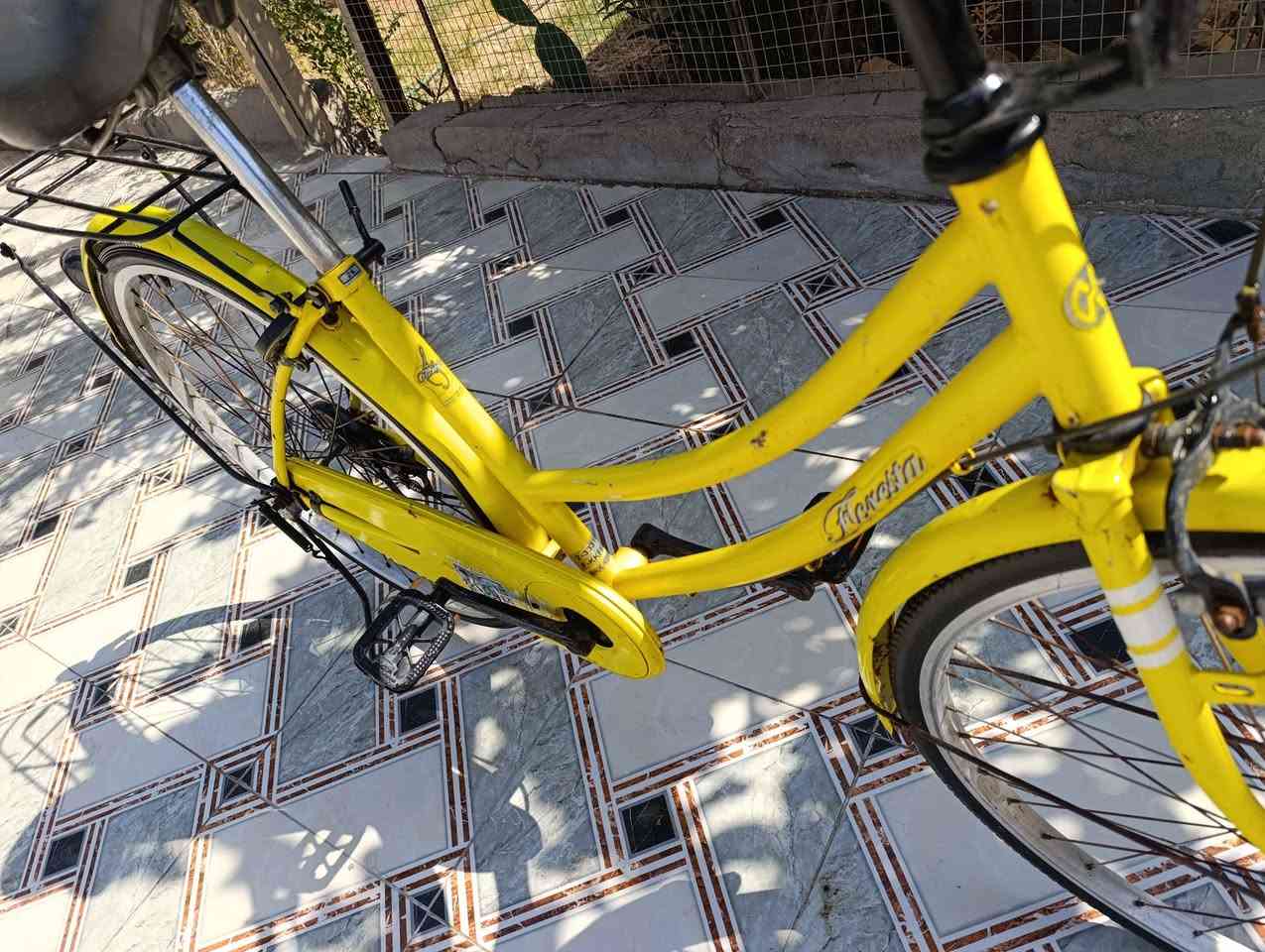 السلام عليكم 
بسكل مال حاويه نضيف وكامل مكاني بصره ابو الخصيب بالعوجه الشراي يخابرني وبخدمته
*********** ابو الخصيب, البصرة
