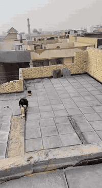 مستمرون معكم 07856190084🔵 استثمر نزول الاسعار قبل بدء الموسم   كادر عم...