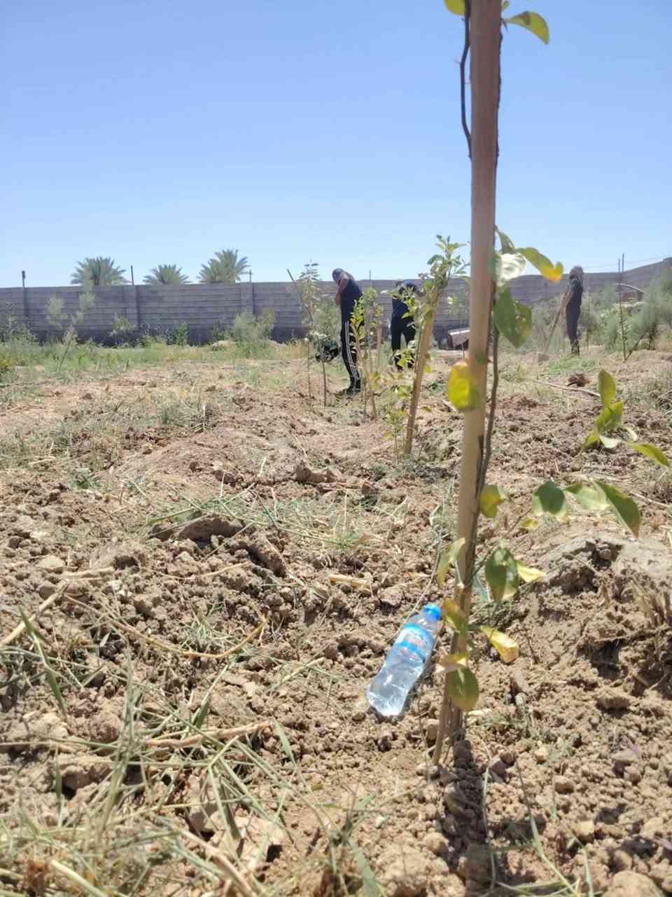 ***********📞سلام عليكم  /  يوجد كادر عمل جاهز /  تصعيد مواد /  تنضيف بيوت /  تفليش /  تكشيط /  دفن نهري /  شقلنه ليل ونهار /  ومعداتنه جاهزه  ومالك دخل بكلشي تأخذ شقل جاهز مني سلمني شقل وتأخذ شقل جاهز / ماعليك بس تصال على رقم ///  وسياره تجيك للبيت // وموجود واتساب
