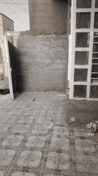 بيت للايجار • ٢٠٠م • حي الارامل