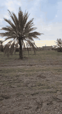 سلام عليكم دونم سند ٢٥ عل طريق الشعله قريب عل معمل الغاز واجهيه ٣٥ للبيع بيع مستعجل السعر ١٨٠ مليون والمو شراي لا يتصل *********** عندي اللكيشن خاص وتفاصيل انطيها للشراي تحويل مباشر
