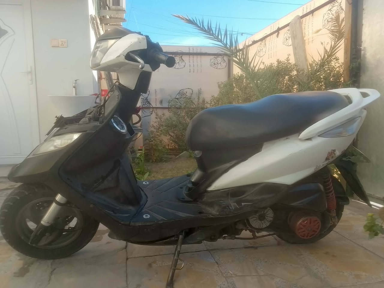 سلام عليكم دراجه ثعلب دراجه تخبل بيه كلجات رياضي بيه قطره بيه هواي شغلات بيه دبل امامي رياضي اصلي دراجه تخبل سعر ٤٥٠ وبيه مجال بسيط مكان حي جهاد رقم ***********
