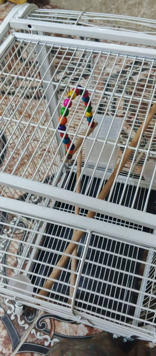 قفص 🥰🦜🦜
قياس 80*50
على اول تم 65🍏🌹


**إذا كنت صاحب هذا الإعلان وتريد حذفه لأي سبب، رجاءا أرسل رسالة إلى الدعم الفني**