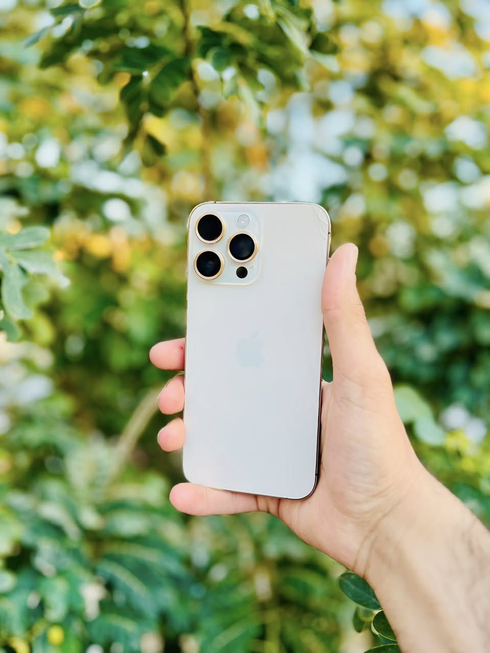 14 برو ماكس شرق اوسط خطين
ايفون 14 برو ماكس شرق اوسط دبل خط يعني خطين 
86‎%‎ اصليه بلادي 
ذاكره 256  نموذج  M…ZA/A
مستبدل شاشه وكاله تفصيخ فيس ايدي شغال 3 خيارات 
مكفول الجهاز من كل خلل وعطل نهائيا ! 
مكاني نجف الاشرف : ***********
