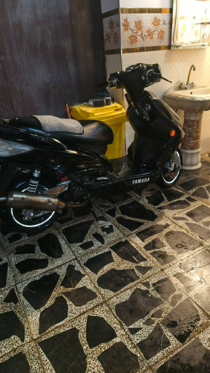 سلام عليكم
سكنس فحل طلاعات حديث للبيع او مراوس بشي قوي مو نطيحه 
مكينه 58.5 كلجات رياضي صالنصه ستيل وهذن الكلاوات كلهن كدامك بل صوره البجم موجود كلشي كامل دراجه صاروخ 
رقم*********** مكاني عبيدي
