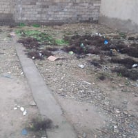 اربجيه بل٩٠ • ٨٥م • واجهة٥م