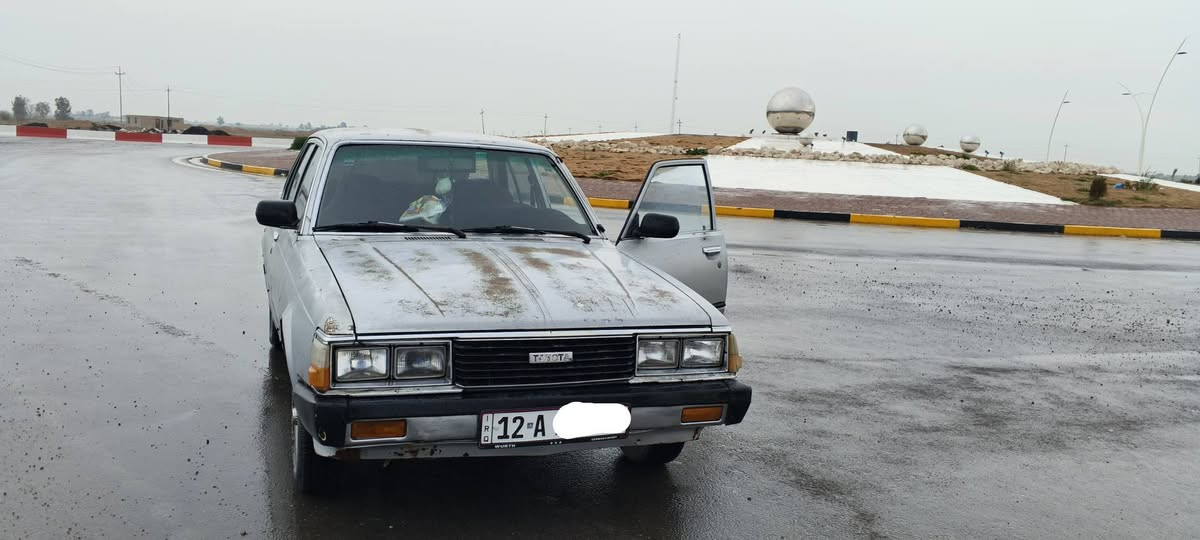 موديل 81 مثل ما واضح مكان سامراء السعر 39 ) ***********
