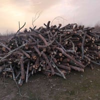 يوجد خشب كرامي حمل كنتره للبيع الاتصال على الرقم 07782116213