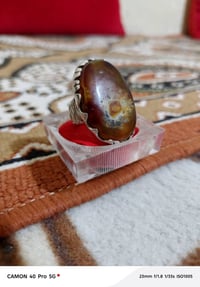 محبس • فضة ثقيلة • داوودي