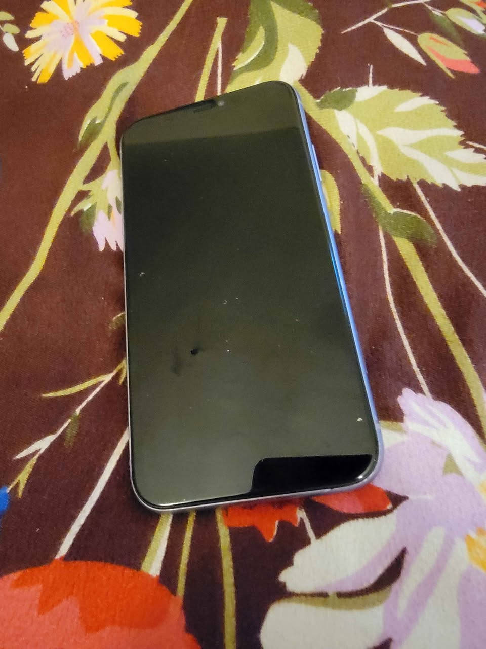 جهازي ايفون بدل فقط شاشه Colombo, Sri Lanka


**إذا كنت صاحب هذا الإعلان وتريد حذفه لأي سبب، رجاءا أرسل رسالة إلى الدعم الفني**