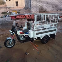 ستوته • موديل 22 • بيجي