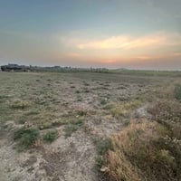 ٢٢٩٠م • أرض زراعي • البوهزيم